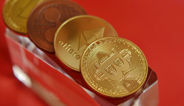 e7190e045deb285729b2bf277d03cd34_1771315052_6498.jpg e7190e045deb285729b2bf277d03cd34_1771315052_6498.jpg