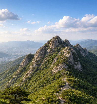 d569a73c2f4a62dace1fb4a9cedfe16a_1772446369_0895.jpg d569a73c2f4a62dace1fb4a9cedfe16a_1772446369_0895.jpg