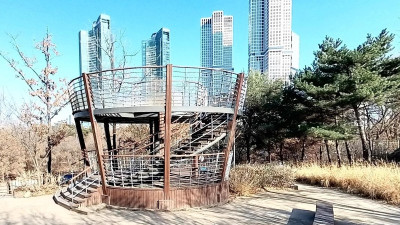 도심 속 초록 쉼표, 서울숲으로 떠나는 하루 여행