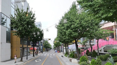 서울 도심 속에서 가장 세련된 거리 중 하나로 손꼽히는 가로수길